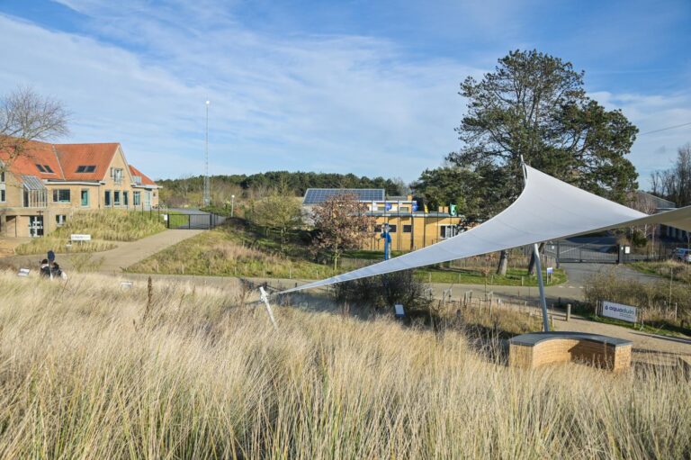 Water-lopen — markt-eten in Koksijde